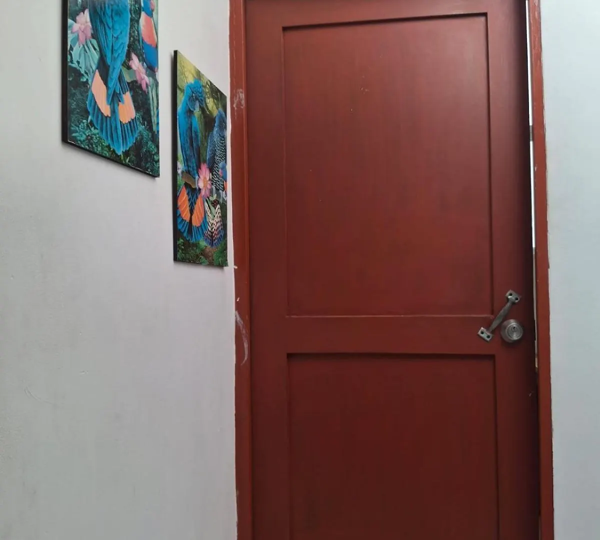 Apartaestudios Norte De 卡利